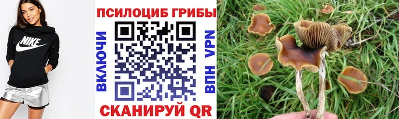 Псилоцибиновые грибы Magic Shrooms  цена   Апшеронск 