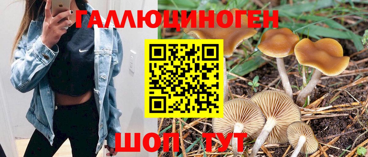 Апшеронск  даркнет сайт  Вход с VPN  Псилоцибиновые грибы мухоморы 